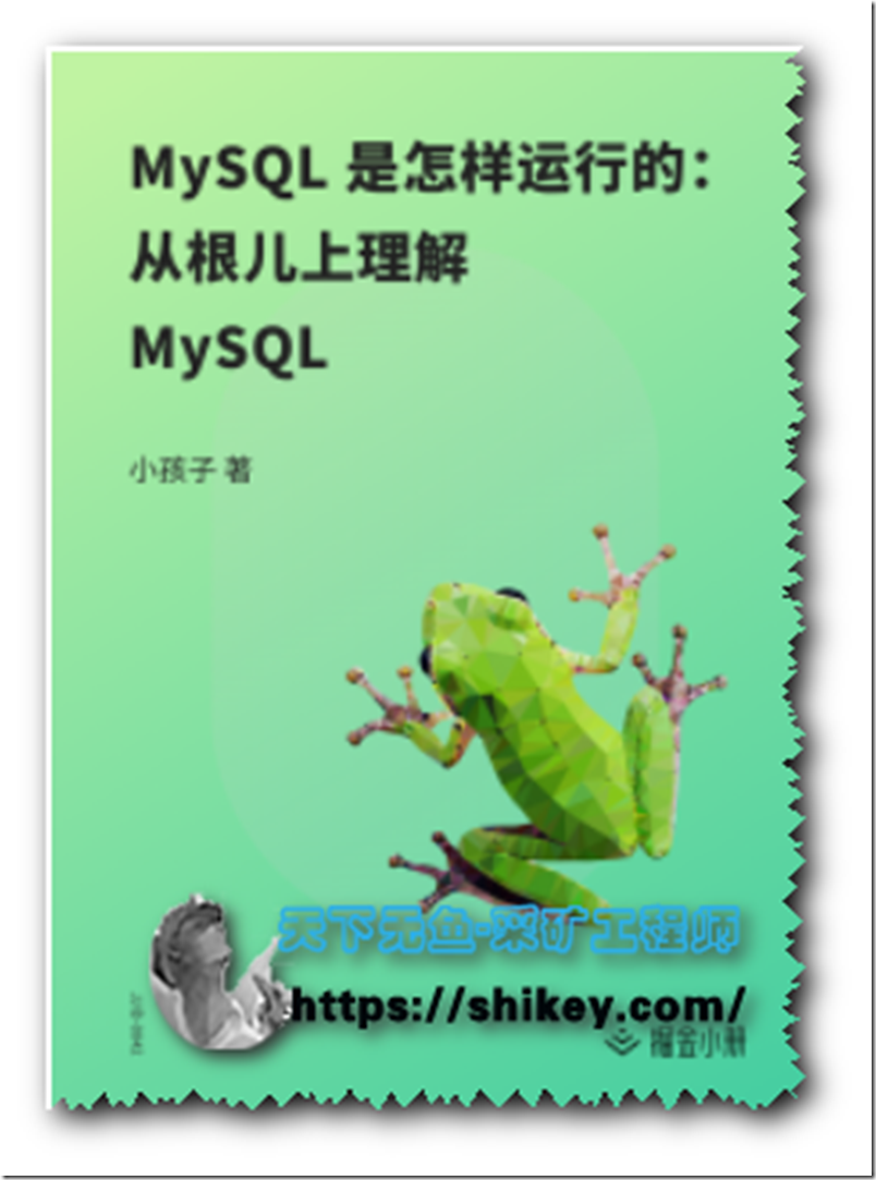 《MySQL 是怎样运行的：从根儿上理解 MySQL|完结|百度云下载》